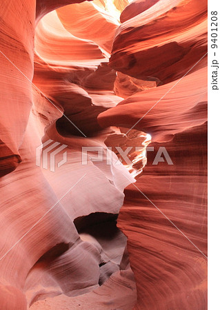 アンテロープキャ二オン 9401208