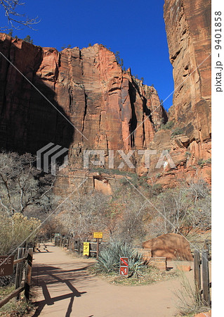 ザイオン国立公園 ザイオン国立公園 9401858