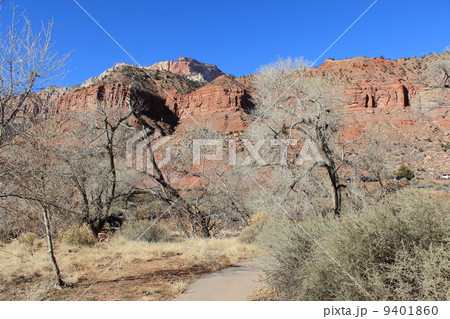 ザイオン国立公園 9401860