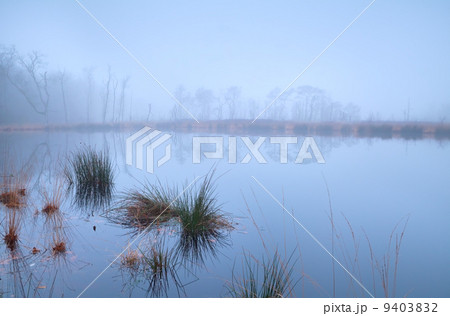 lake in forest covered with dense fog lake in forest covered with dense fog 9403832