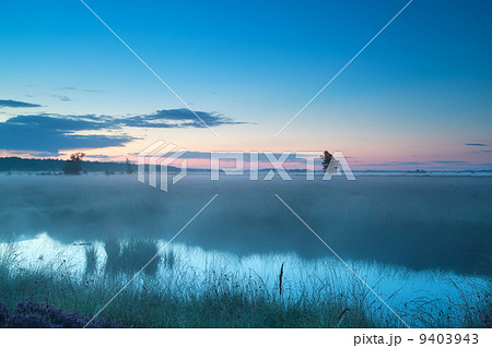 summer misty morning on bog 9403943