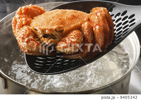 毛蟹 毛蟹 9405342