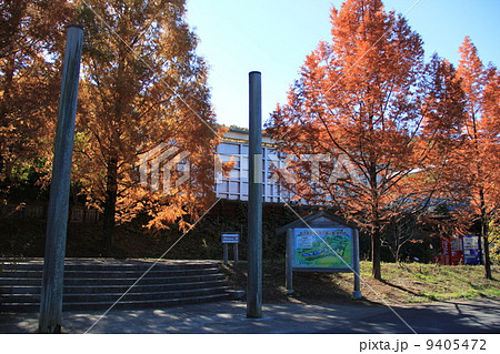 あけぼの子どもの森公園 9405472