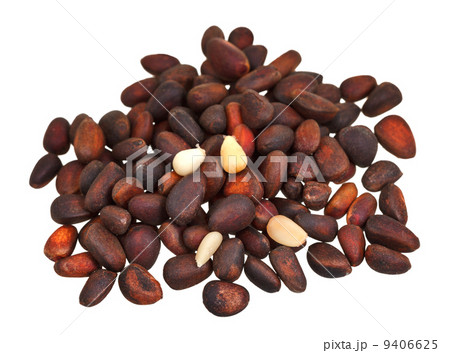 handful of cedar nuts isolated handful of cedar nuts isolated 9406625
