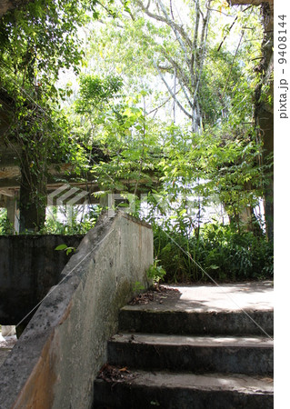 ペリリュー島の日本軍指令部跡 9408144