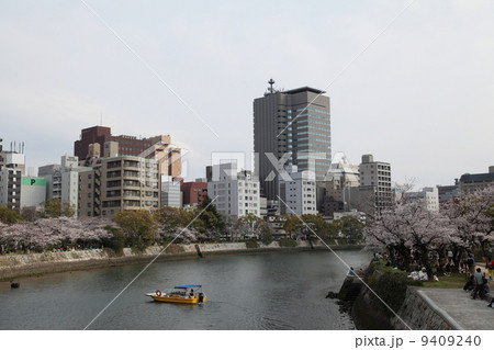 平和記念公園のお花見風景 9409240