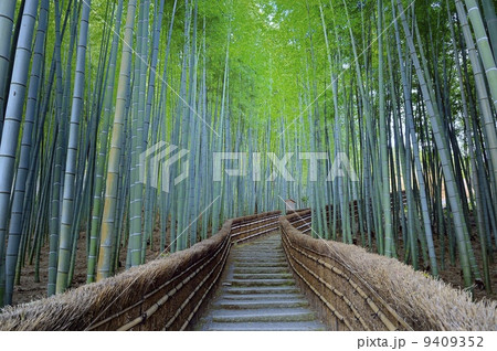 竹林の小径 化野念仏寺 竹林の小径 化野念仏寺 9409352