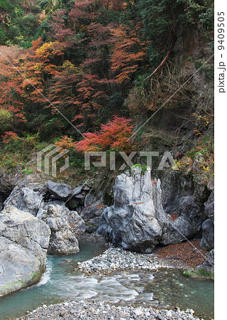 鳩ノ巣渓谷の紅葉 鳩ノ巣渓谷の紅葉 9409505