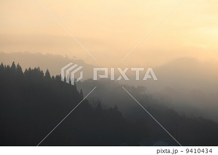 日差しの朝霧 9410434