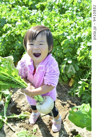 カブ カブ 9410882