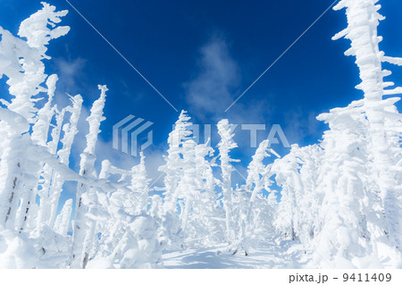 樹氷生い立つ山頂 9411409