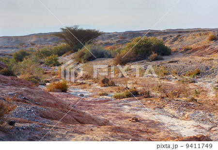 Arava desert in the first rays of the sun Arava desert in the first rays of the sun 9411749