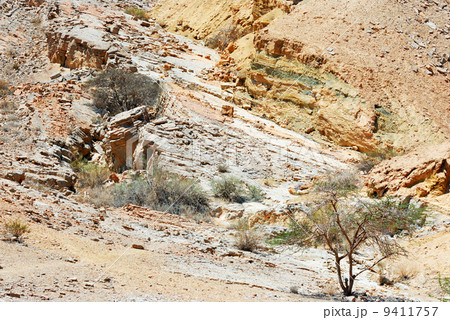 Multicolored stones of Makhtesh Ramon 9411757