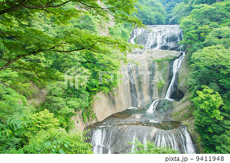 新緑の袋田の滝 新緑の袋田の滝 9411948