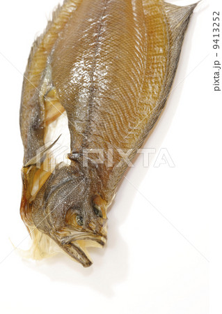 宗八カレイ 9413252