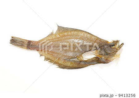 宗八カレイ 9413256