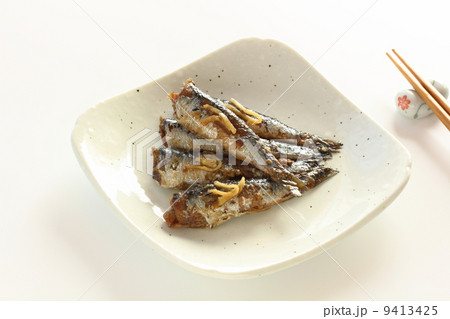 イワシの生姜煮 イワシの生姜煮 9413425