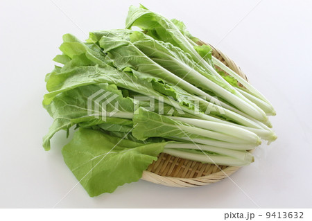 山東な 山東な 9413632