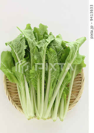 山東な 山東な 9413633