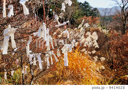 秩父路ドライブ行 秩父路ドライブ行 9414028