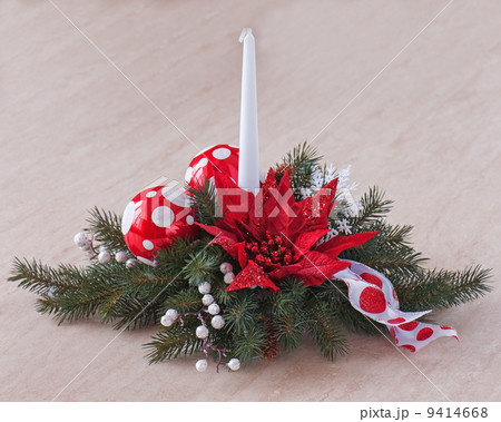 Composition from Poinsettia Plant with spruce branches in vase o 9414668