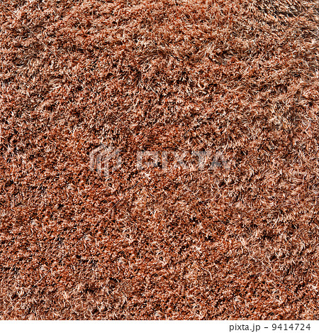 Carpet or rug texture. 9414724