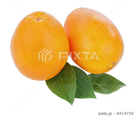 Fresh orange fruits with green leaves isolated on white backgrou Fresh orange fruits with green leaves isolated on white backgrou 9414730