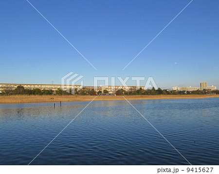 千葉県　谷津干潟 9415627