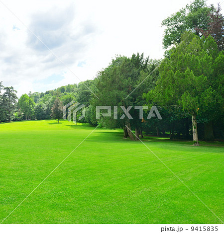 Beautiful meadow in the park Beautiful meadow in the park 9415835