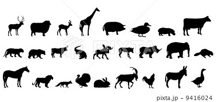 vector set of animals silhouette 9416024