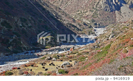 Annapurna trekking Annapurna trekking 9416919