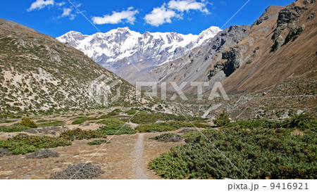 Annapurna trekking Annapurna trekking 9416921