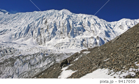 Annapurna trekking Annapurna trekking 9417050
