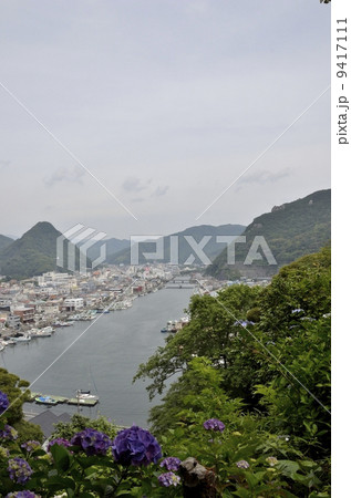 下田公園のあじさい祭 下田公園のあじさい祭 9417111