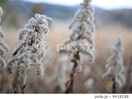 里山百景/春を待つ 里山百景/春を待つ 9418288