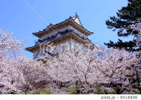 城、小田原城、お城、桜、花、ソメイヨシノ、さくら、サクラ、天守閣、小田原、建物、風景、景観、空、青空、大空 9418896