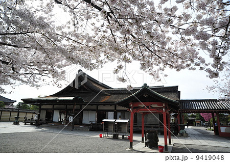 京都　東寺　春の大師堂 9419048