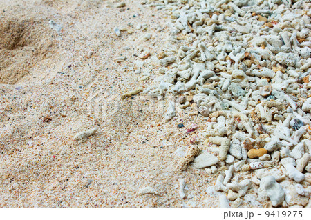 coral sand 9419275