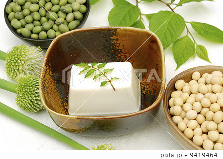 豆腐 9419464
