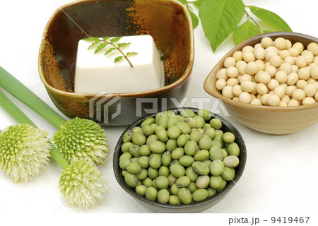 豆腐 9419467