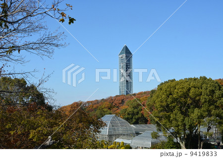 秋の東山植物園 秋の東山植物園 9419833