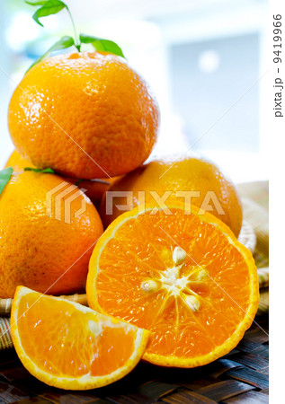 tangerines with leaves in a beautiful basket, on wickerwork tabl 9419966