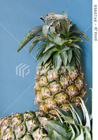 Pimeapple on blue concrete wall 9419968