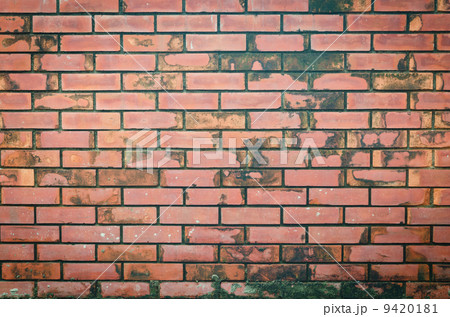 Background of brick wall texture Background of brick wall texture 9420181
