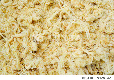 Dried shredded pork 9420182