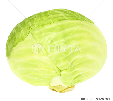 Cabbage close up Cabbage close up 9420764