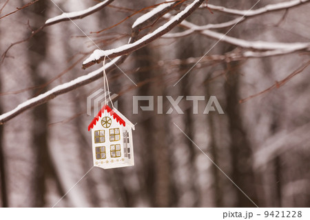 lantern in the snow 9421228