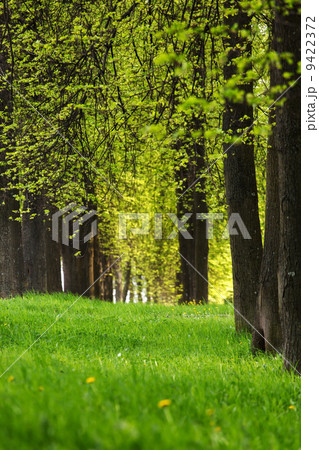 beautiful park beautiful park 9422372