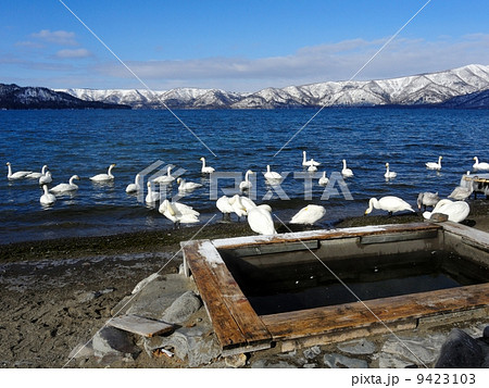 冬の屈斜路湖(砂湯) 冬の屈斜路湖(砂湯) 9423103