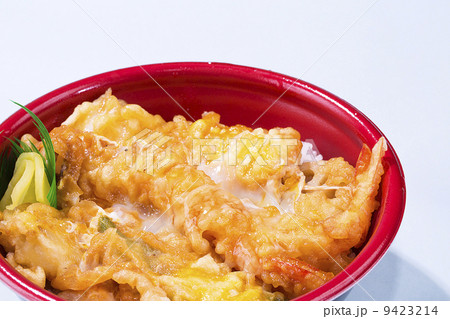 天丼・テイクアウト 天丼・テイクアウト 9423214